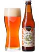 TROEGS NUGGET NECTAR 12OZ BOTTLES 6PK